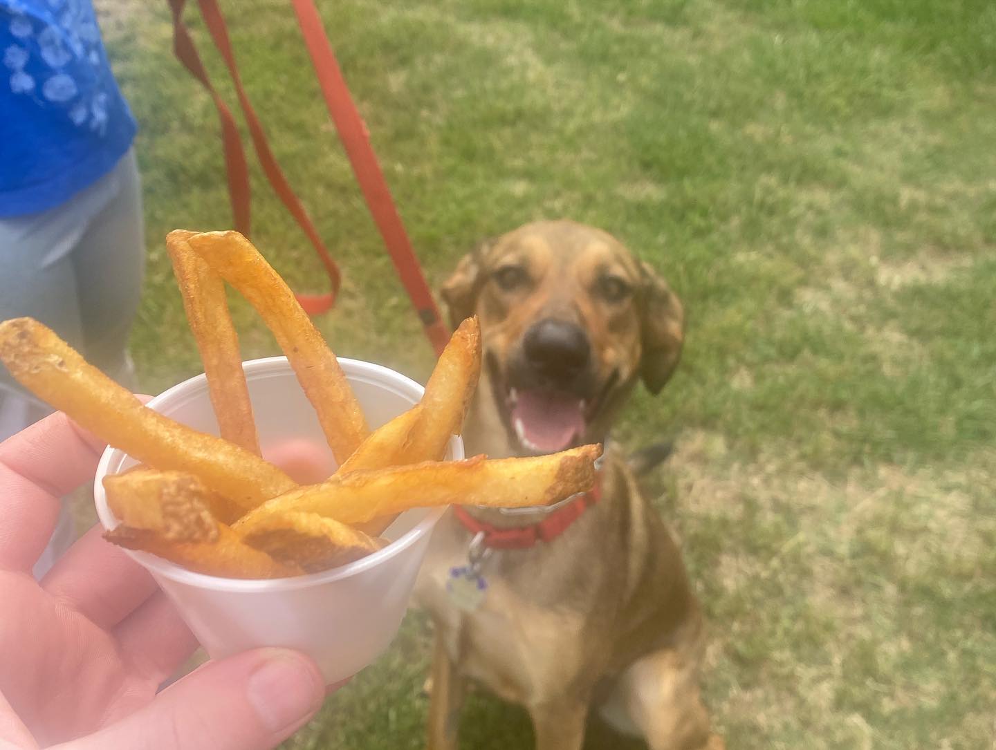 Slideways Mobile Bistro